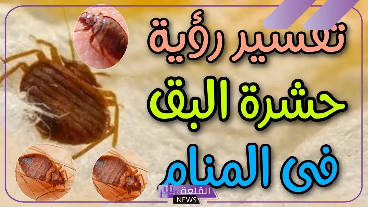 تفسير حلم البق في المنام وعلاقته بالحصول على الميراث لابن سيرين 5 حلمت أنى بموت حشرات البق للمتزوجة