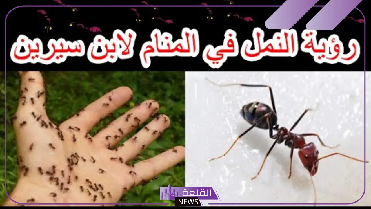تفسير حلم نمل يمشي على جسمي في المنام لابن سيرين