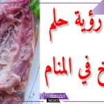 تفسير حلم رؤية الفسيخ في المنام وعلاقته بتجاوز كل العقبات