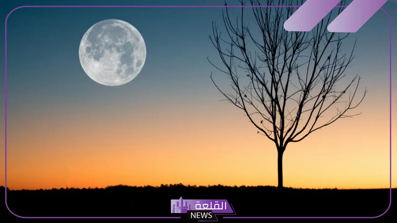 تفسير حلم رؤية القمر كبير وقريب في المنام للعزباء والمتزوجة لابن سيرين 5 تفسير حلم ركوب الطائرة مع شخص