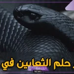 تفسير حلم رؤية الثعابين في المنام بمختلف ألوانها لابن سيرين