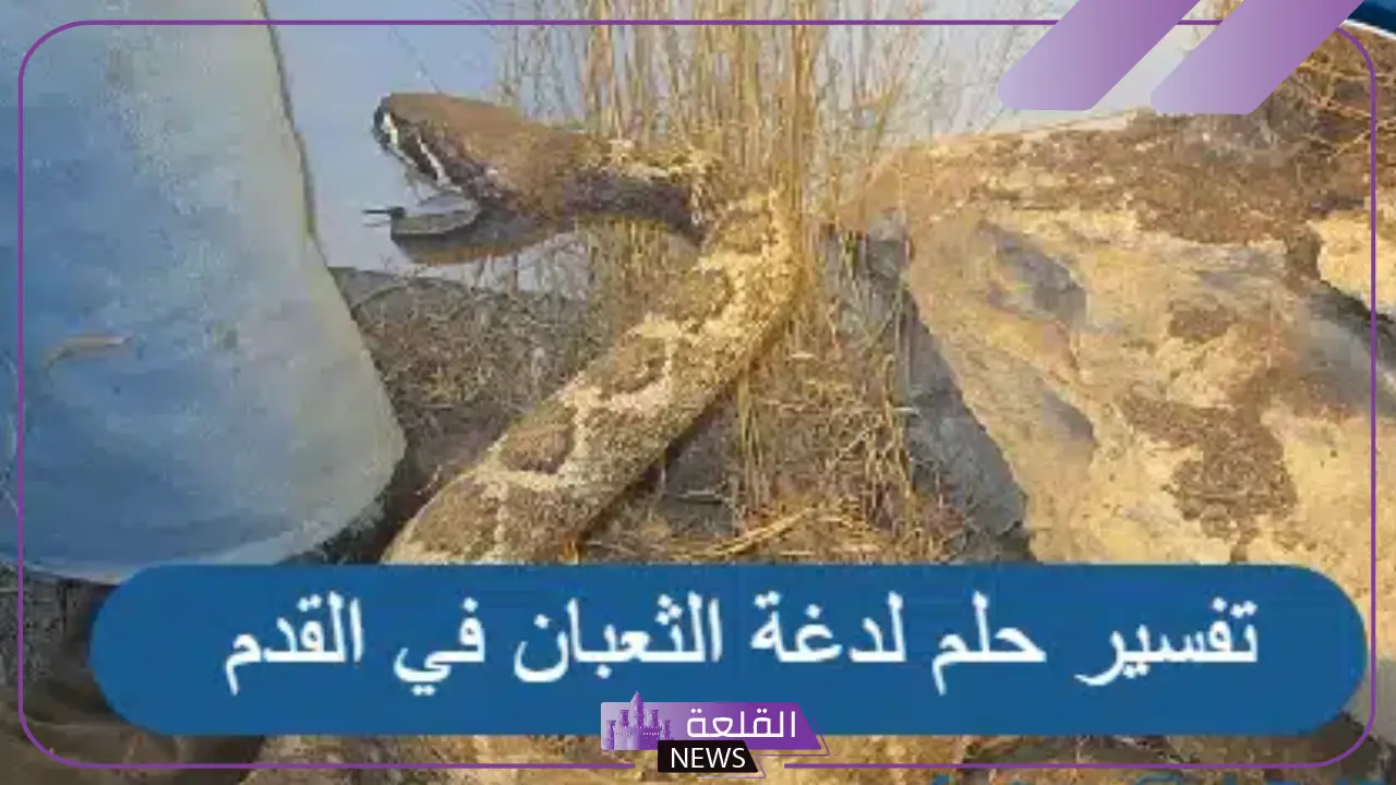 تفسير حلم لدغة الثعبان في القدم اليمنى واليسرى في المنام لابن سيرين