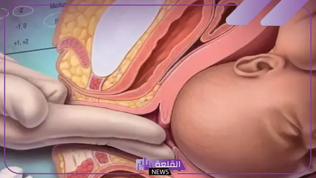 تجربتي لفتح الرحم وتسريع الطلق في الحمل والمخاض 6 أعشاب فتح الرحم