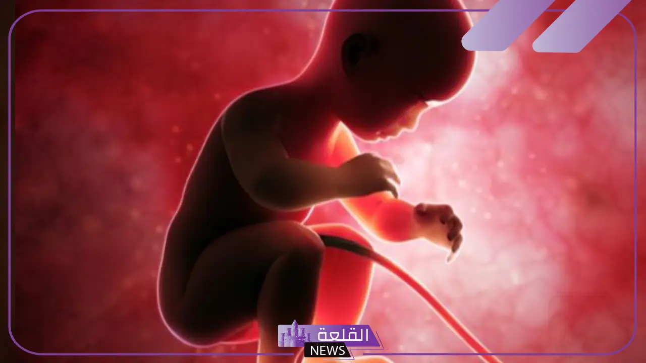 تجربتي مع توقف نبض الجنين لمدة أيام 6 عوامل توقف نبض الجنين