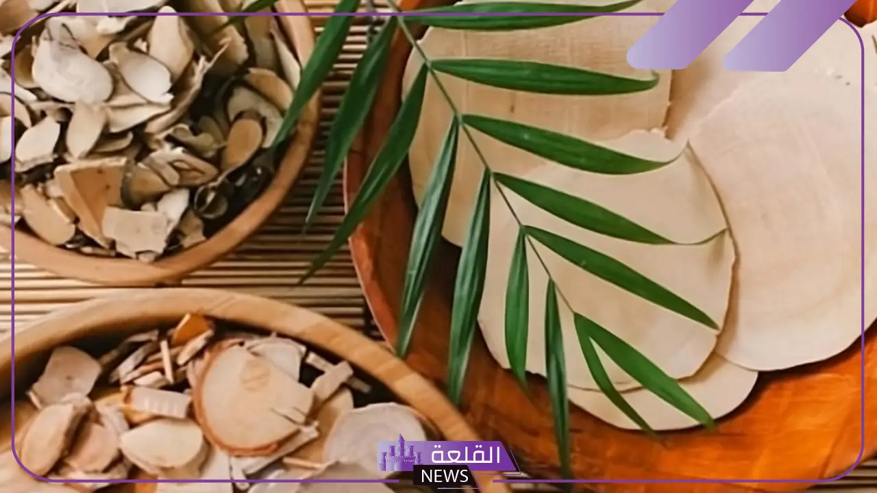 تجربتي مع تونكات علي وتأثيره على الرجال والنساء 5 تجارب تونكات علي