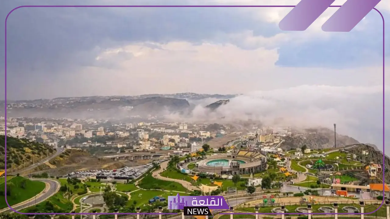بملياري دولار.. تطوير مدينة طبية متكاملة في الباحة بأحدث المرافق 5 انشاء مدينة طبية متكاملة في الباحة