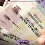 احذر منها.. 7 حالات لقطع المعاش في مصر ومنع الحصول عليه مرة أخرى