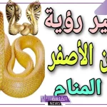 تفسير حلمت بثعبان اصفر يهاجمني في المنام لابن سيرين