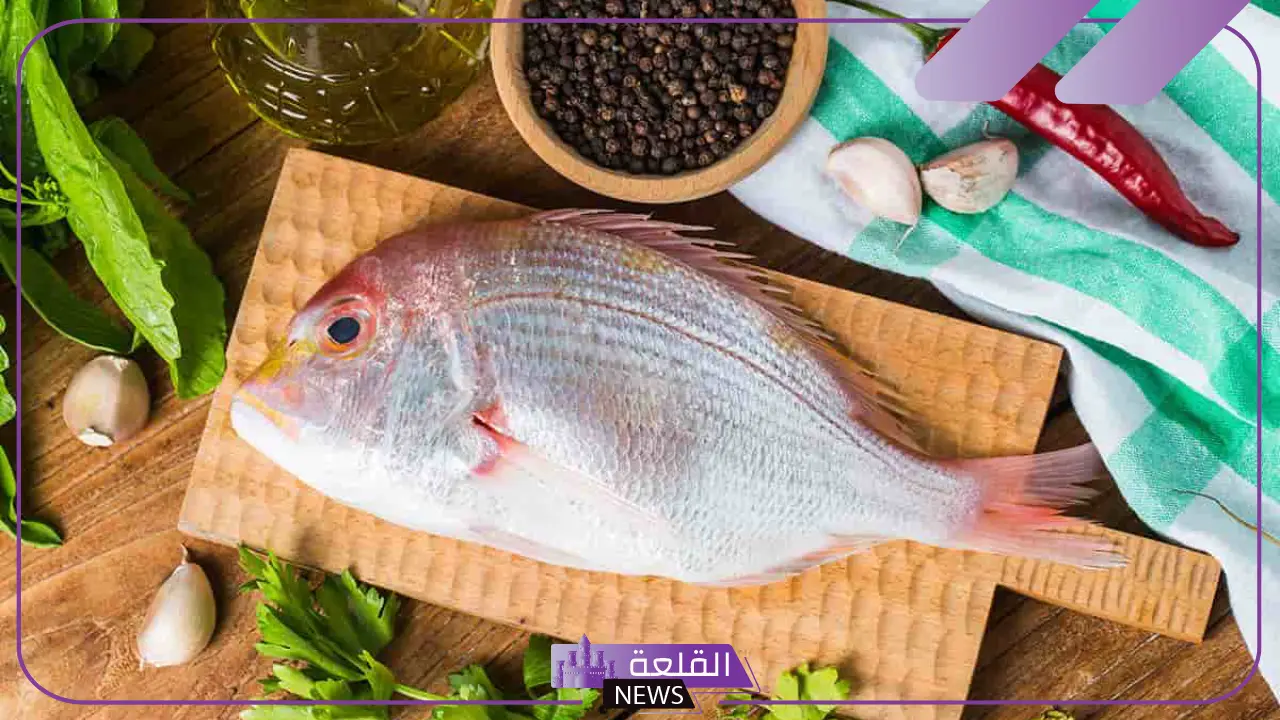 تفسير حلم السمك الحي خارج الماء في المنام للعزباء والمطلقة لابن سيرين 5 تفسير حلم السمك الحي للعزباء
