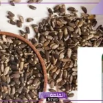 تجربتي مع حليب الشوك للكبد بالفوائد والأضرار