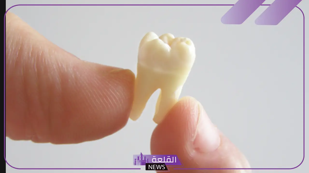 تفسير حلم خلع الضرس في المنام باليد لابن سيرين للعزباء والمتزوجة 6 خلع الضرس للعزباء