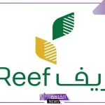 بالرابط المباشر.. طريقة الاستعلام عن دعم ريف لشهر أكتوبر 2024