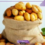 تفسير حلم رؤية البطاطا في المنام للعزباء والمتزوجة لابن سيرين
