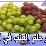 تفسير حلمت بعنب في المنام للمتزوجة والعزباء لابن سيرين