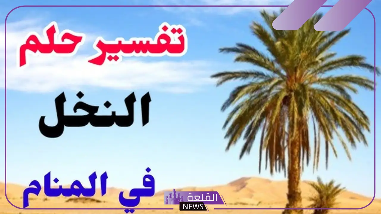 تفسير حلم النخل والبلح في المنام وعلاقته بالخير القريب لابن سيرين