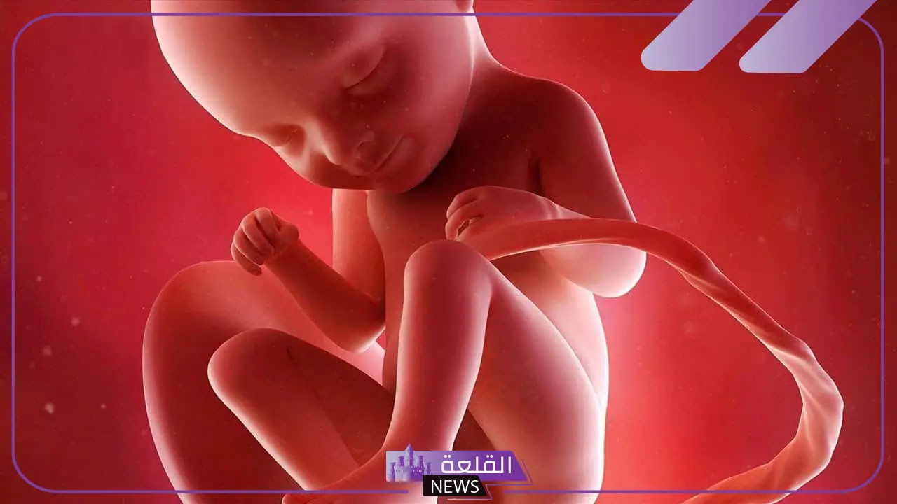 تجربتي مع زيادة الماء حول الجنين وتأثيرها على الولادة 5 زيادة ماء الجنين