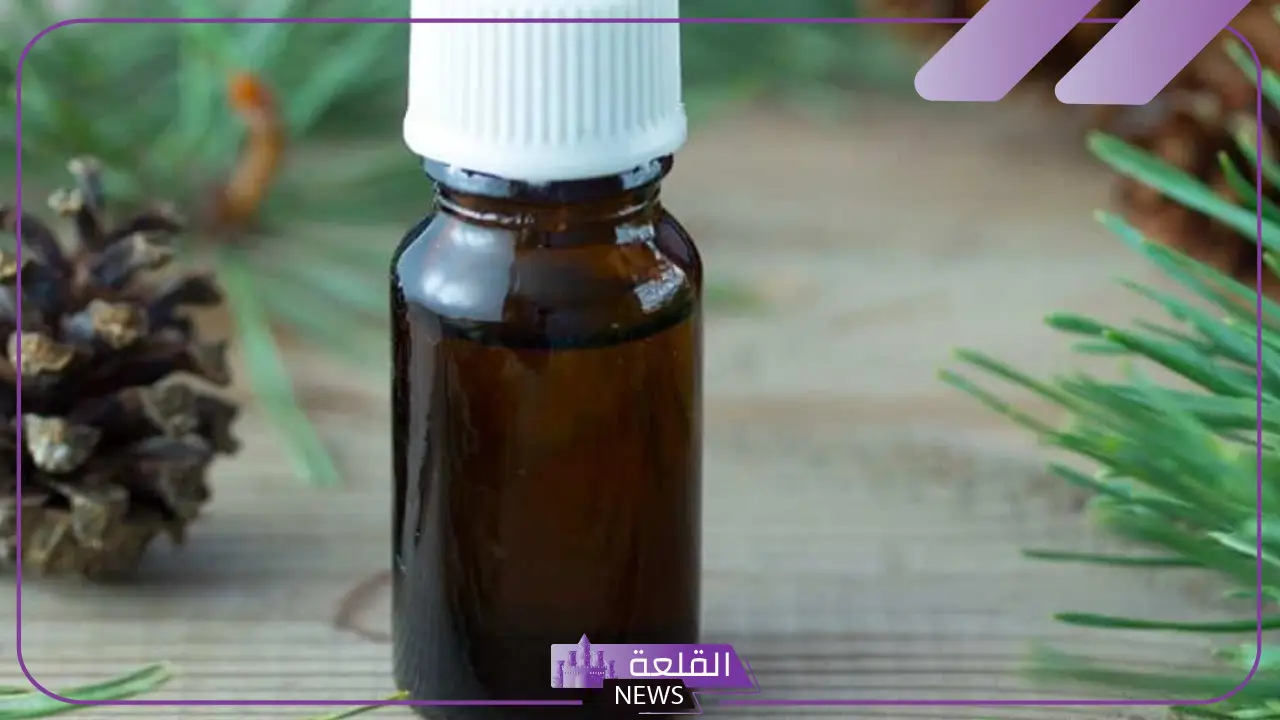 تجربتي مع زيت القطران للشعر وطرق الاستخدام 5 مميزات زيت القطران