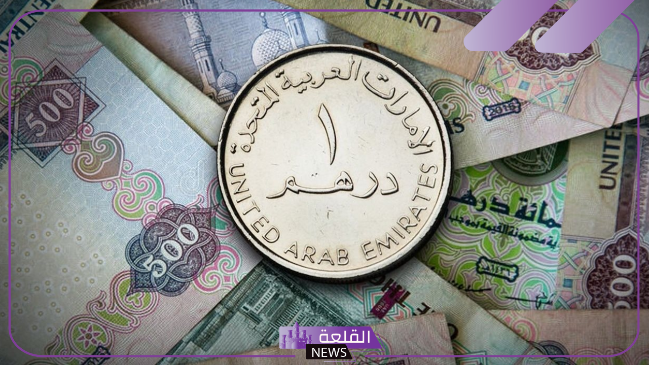 أسعار العملات.. سعر صرف الدرهم الإماراتي أمام الجنيه المصري اليوم الأربعاء 30 أكتوبر 2024
