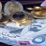 بكم الريال؟.. سعر صرف الريال السعودي أمام الجنيه المصري في السوق السوداء والبنوك اليوم الإثنين 28 أكتوبر 2024