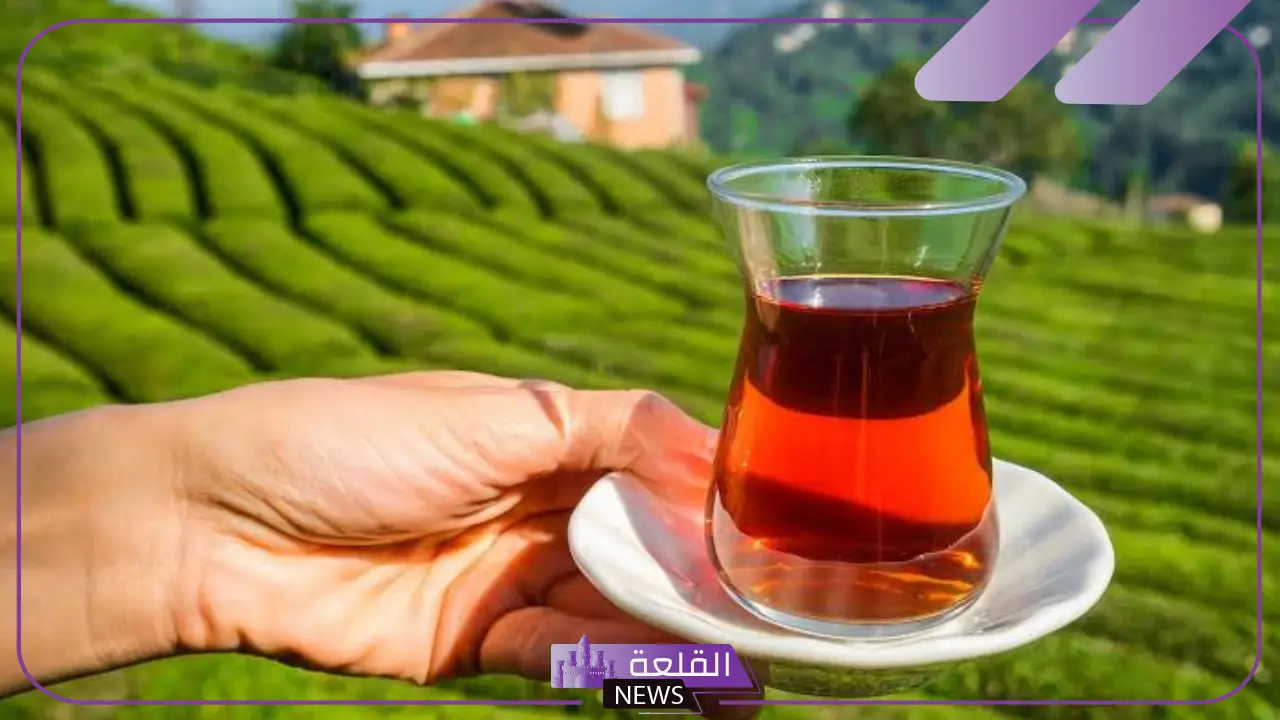 بعد إضافة عبوات جديدة.. أسعار الشاي اليوم في مصر والعبوات الجديدة في الأسواق 5 تعرف على اسعار الشاي اليوم في مصر