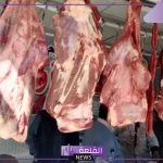 البلدي والضاني.. أسعار اللحوم الجديدة اليوم الثلاثاء 29 أكتوبر 2024 في مصر