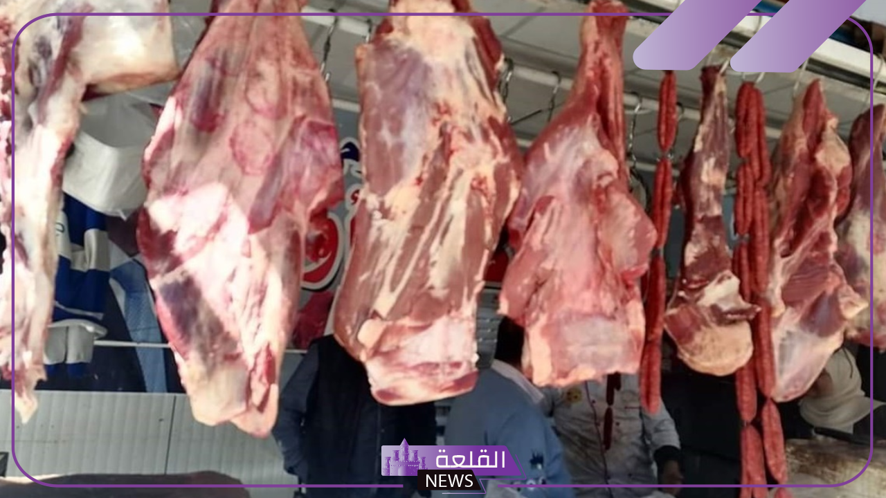 البلدي والضاني.. أسعار اللحوم الجديدة اليوم الثلاثاء 29 أكتوبر 2024 في مصر