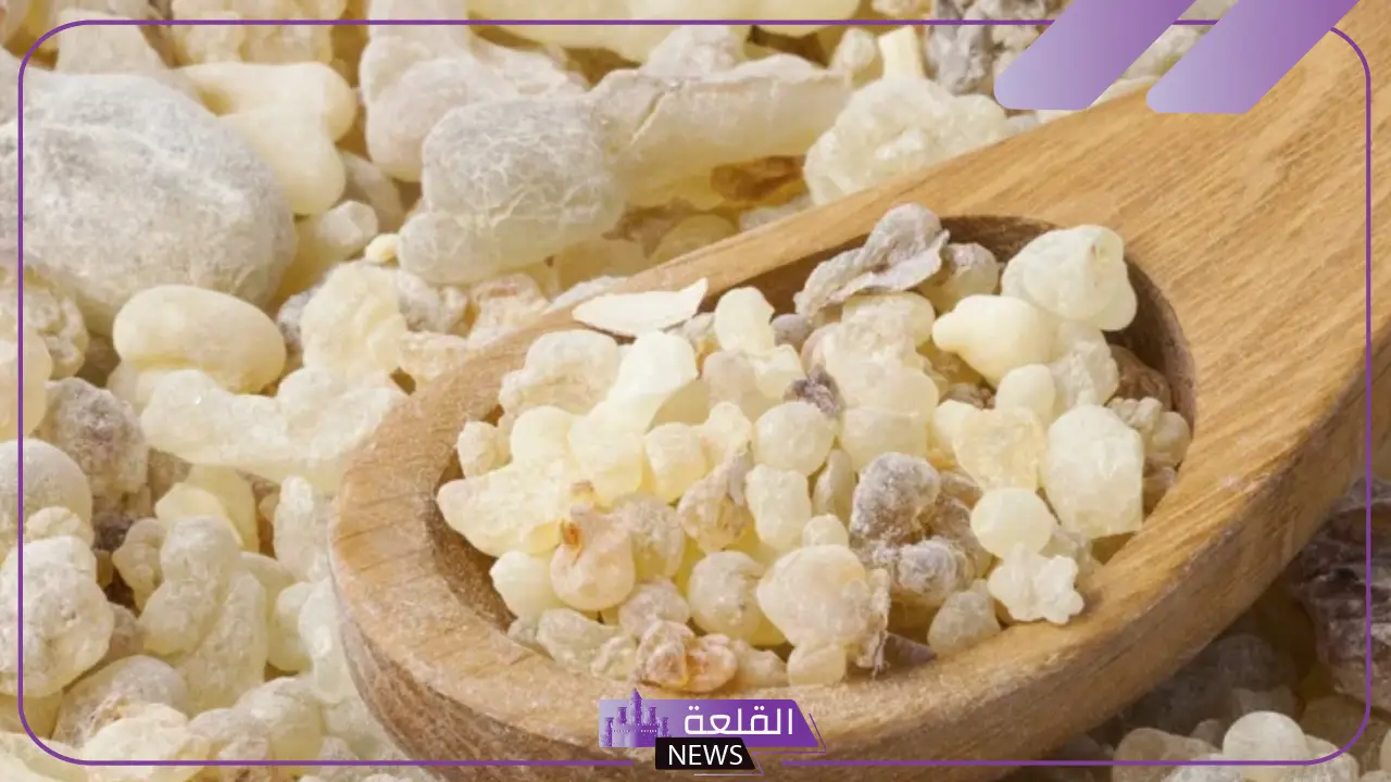 تجربتي مع شرب المر رغم فوائده 5 تجارب شر المر