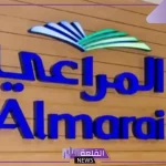باستثمارات تجاوزت مليار جنيه.. المراعي تبدأ بإنشاء خط إنتاج للأجبان في مصر