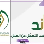 التأمينات الاجتماعية.. الكشف عن المدد المؤهلة لاستحقاق صرف تعويض التعطل عن العمل ساند