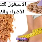 تجربتي مع عشبة الاسبغول للتنحيف بالفوائد والأضرار