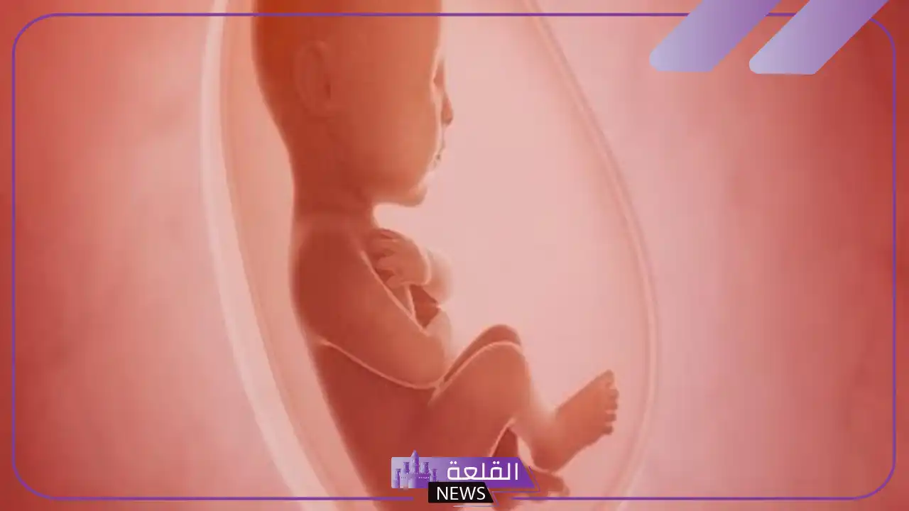 تجربتي مع نقص ماء الجنين وهل يسبب خطر عليه 6 علاج نقص ماء الجنين في الشهر التاسع