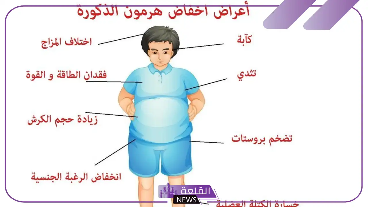 تجربتي مع نقص هرمون الذكورة وتأثيره على النفسية 6 تجربتي مع نقص هرمون الذكورة عالم حواء
