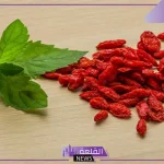 تجربتي مع البربرين لخسارة الوزن الزائد والآثار الجانبية