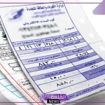عبر الجوال.. طريقة سداد فاتورة الكهرباء بالفيزا كارد في مصر 2024