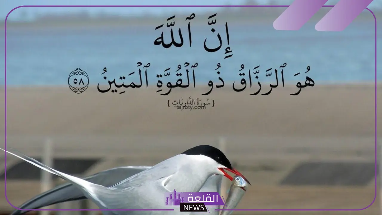 تجربتي مع إن الله هو الرزاق ذو القوة المتين كاملة