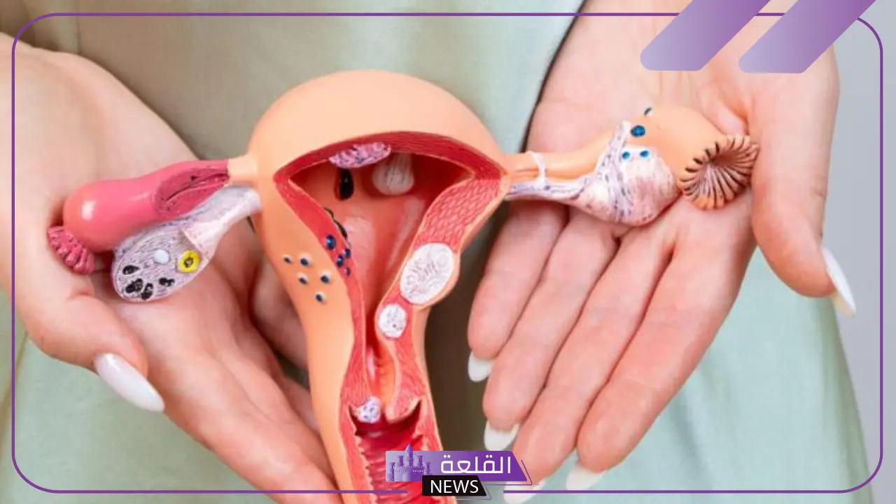 تجربتي مع فطريات المهبل والتخلص منها 5 تجارب القضاء على الفطريات