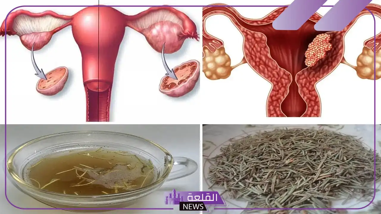 تجربتي مع الخوا جوا للتضييق والنتيجة 5 فوائد خوا جوا للمهبل