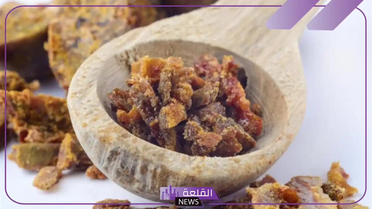 تجربتي مع العكبر أقوى مضاد حيوي للرجال 5 تجربتي مع العكبر عالم حواء