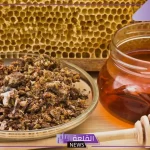 تجربتي مع العكبر أقوى مضاد حيوي للرجال