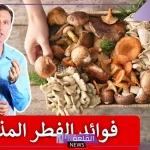 تجربتي مع فطر الريشي بالفوائد .. كيف يتم استعمال الفطر الريشي 