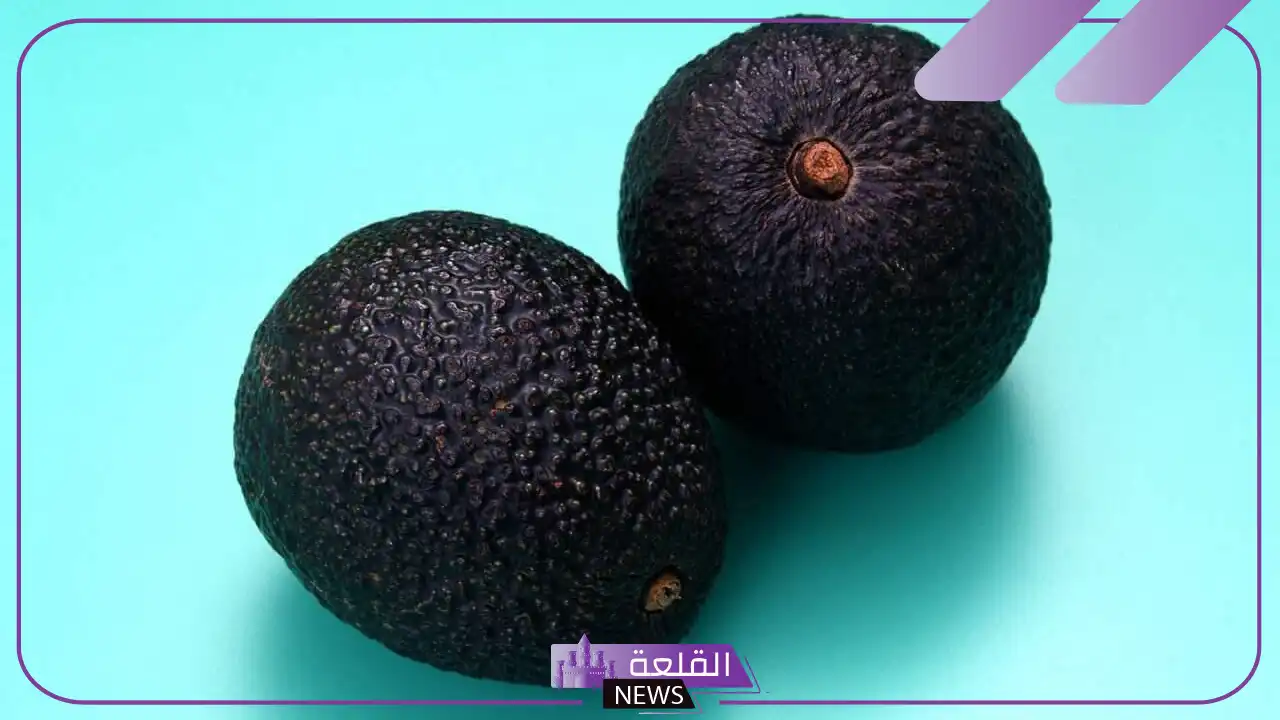 تجربتي مع الليمون الاسود للقولون وعلاج جرثومة المعدة 5 فوائد الليمون الأسود على الريق