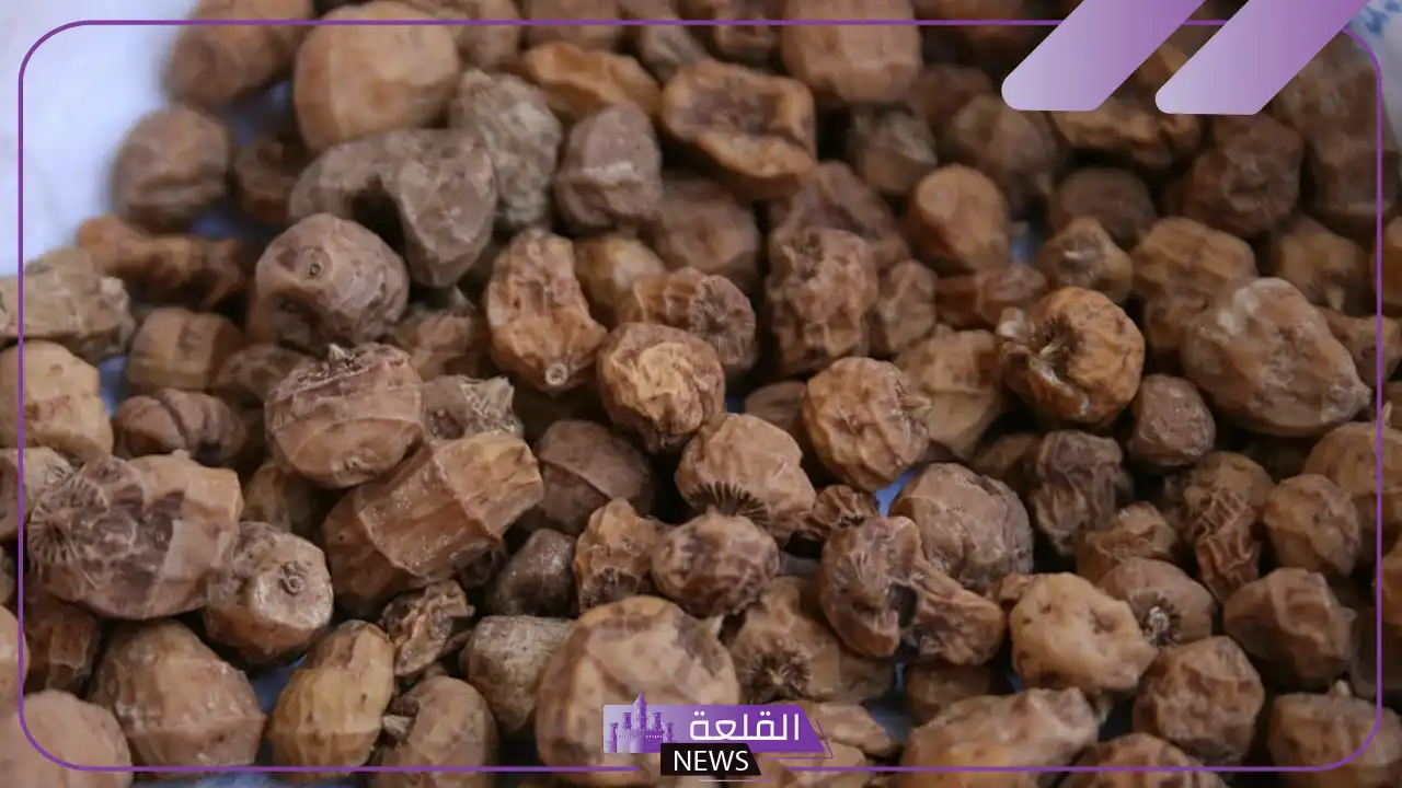 تجربتي مع حبة الملوك وطرق الاستخدام لتنظيف البطن والأضرار 6 بلع حبة الملوك