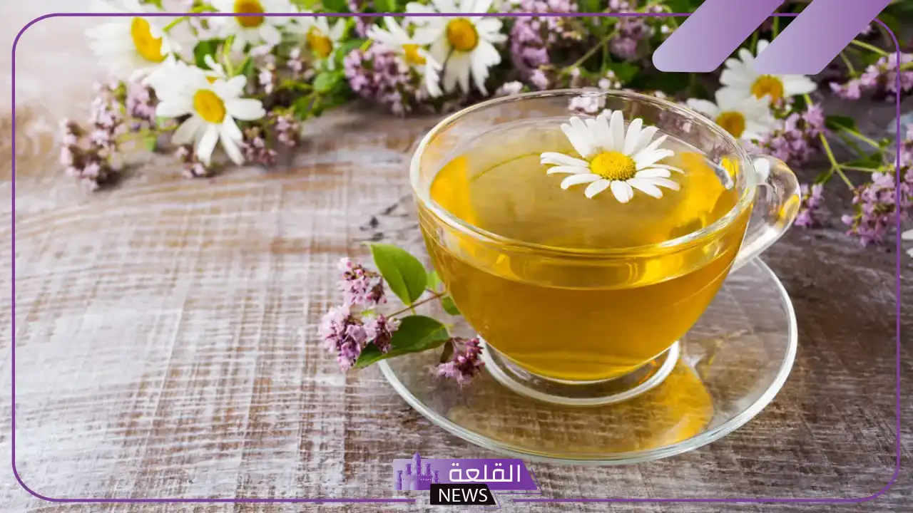 تجربتي مع شرب البابونج يوميا للتبييض والنتيجة تجربتي مع شرب البابونج يوميا للتبييض والنتيجة