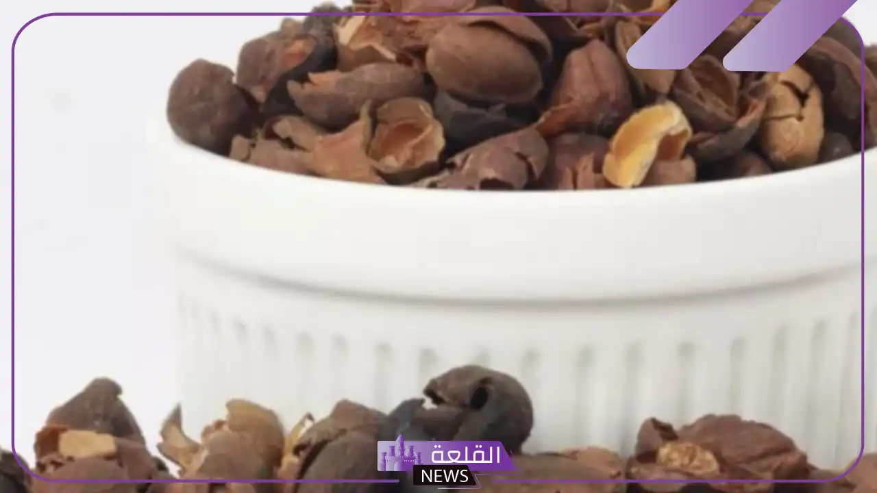 تجربتي مع قشر القهوه للتنحيف وإزالة الدهون والكرش 5 متى تظهر نتائج قشر القهوة