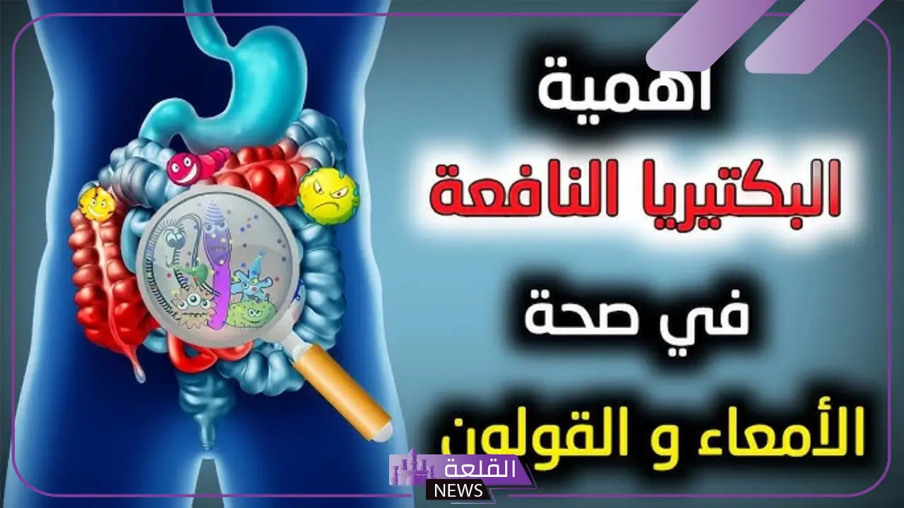 تجربتي مع البكتيريا النافعة والتخلص من الوزن الزائد