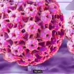 تجربتي مع فيروس الورم الحليمي للنساء