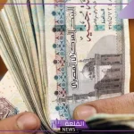 رسميًا.. قرار قضائي لأصحاب المعاشات والمتقاعدين في دعوى اتحاد نقاباتهم