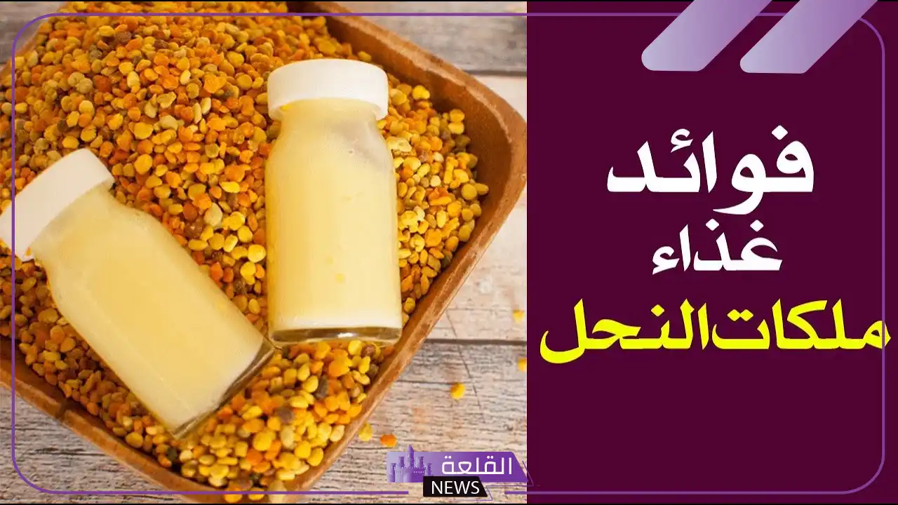 تجربتي مع كبسولات غذاء ملكات النحل لزيادة الوزن 5 تجربتي مع كبسولات غذاء ملكات النحل للحمل