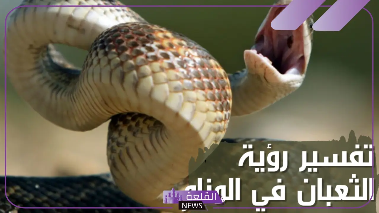 تفسير حلم لدغة الثعبان في القدم اليمنى واليسرى في المنام لابن سيرين 5 لدغة الثعبان في القدم اليمنى واليسرى في المنام