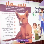 وزارة الصحة.. الكلاب هي السبب الرئيسي بإصابة 90% من الحالات بمرض السعار